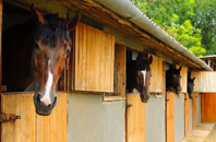 free Furze stable construction quotes